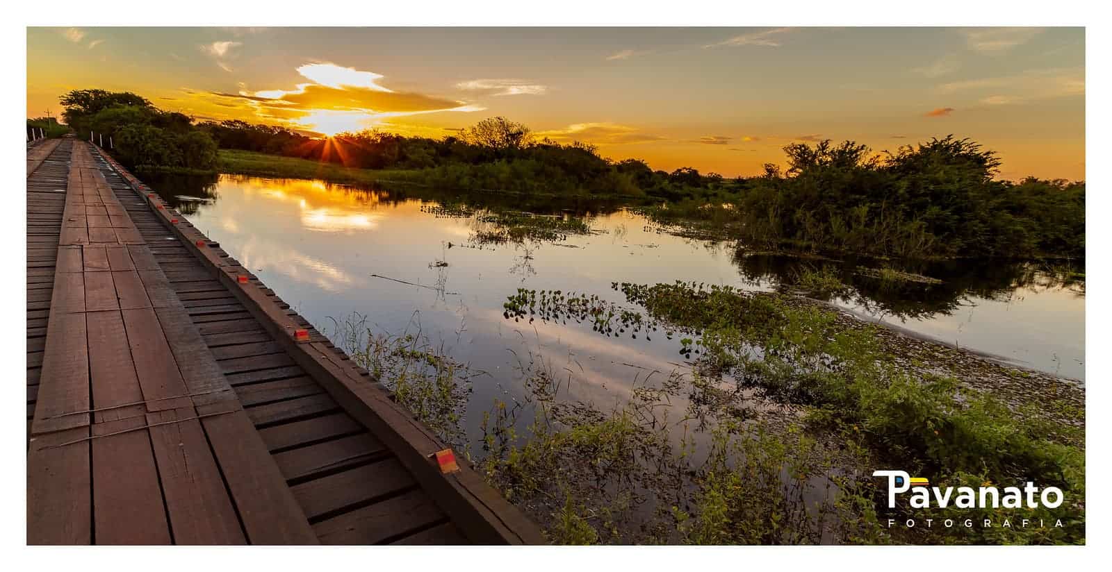 Passeios no Pantanal: 8 Lugares Que Vale a Pena Incluir no Roteiro