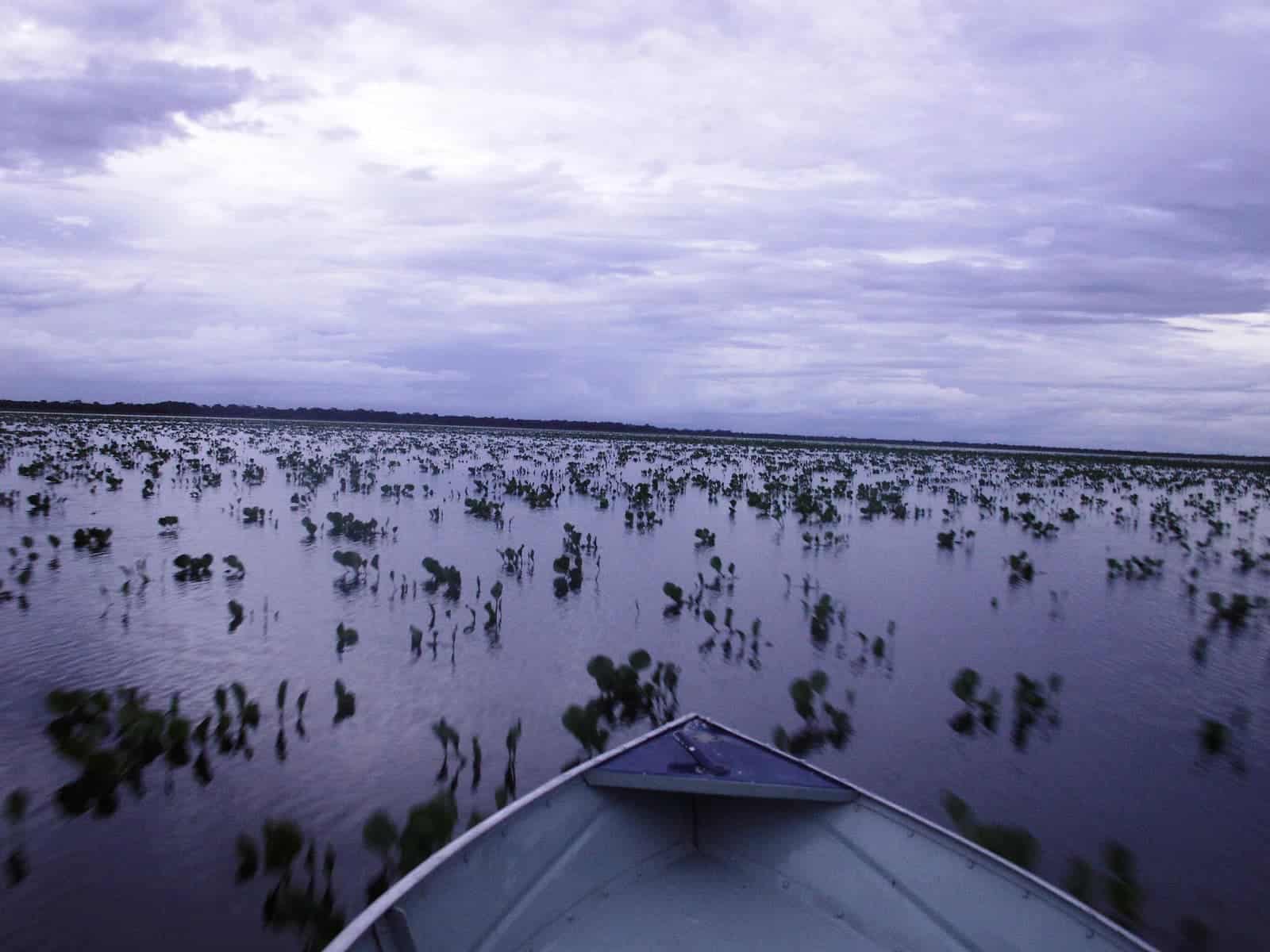 Pantanal