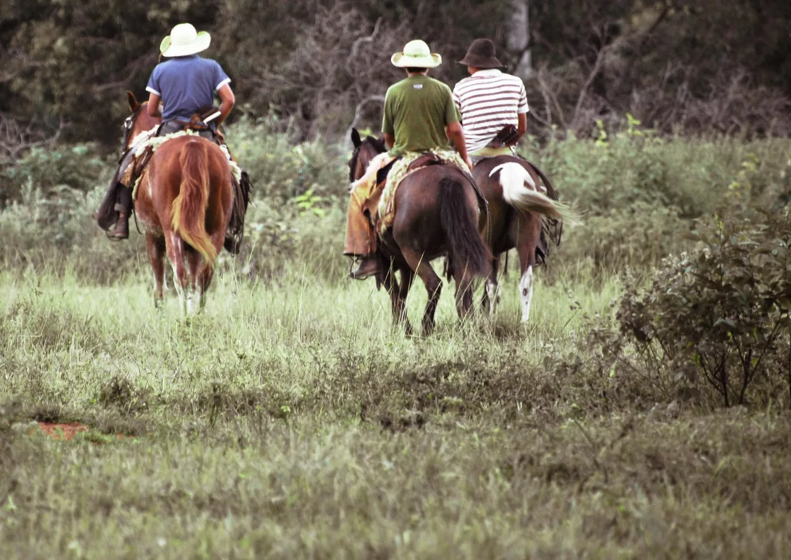 Passeio a cavalo no Pantanal