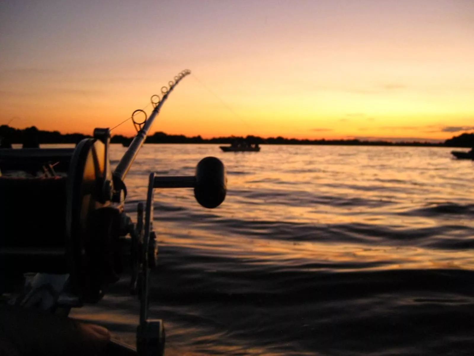 Fishing Pantanal