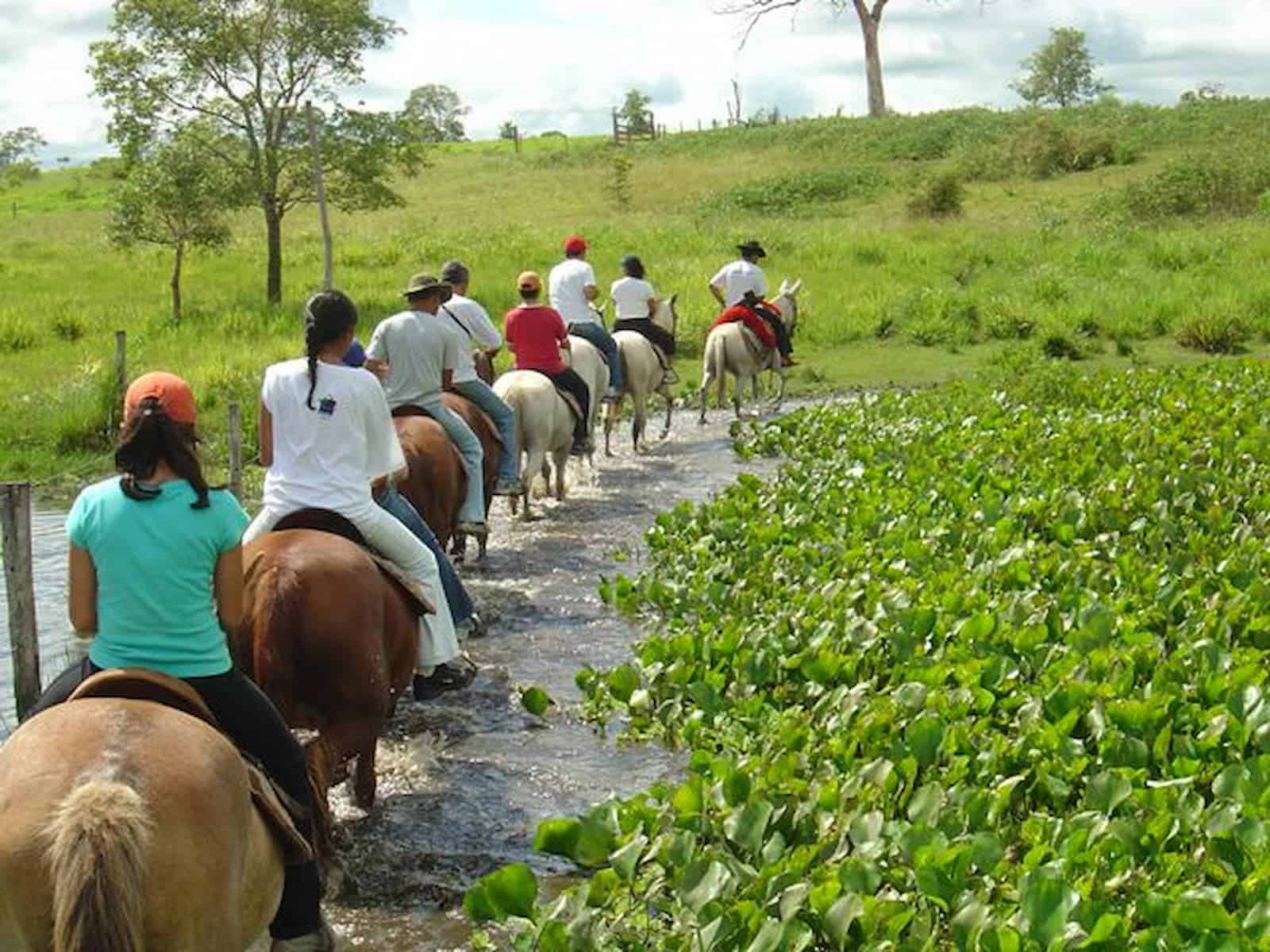 A cavalo, no Pantanal