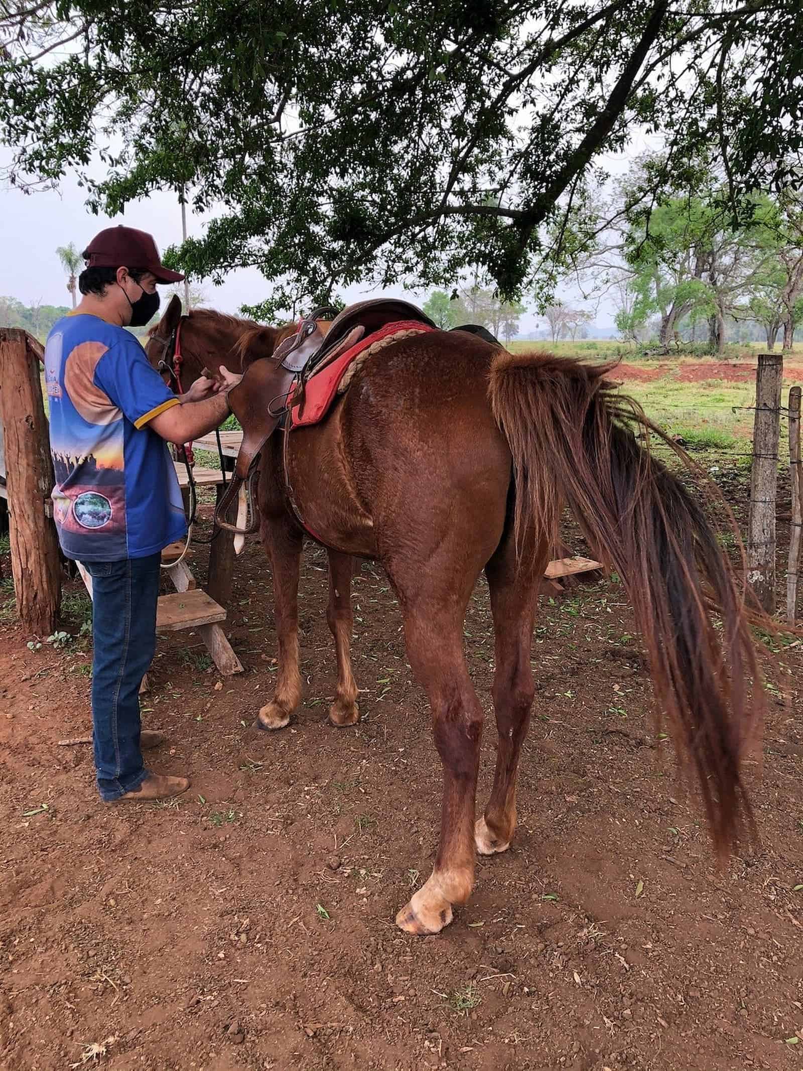 CAVALO PULANDO na CAVALGADA 